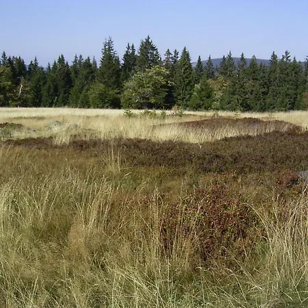 Konukevi Erna Zwiesel